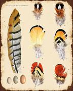Artist Jean Plout Debuts New Vintage Feather Study Collection